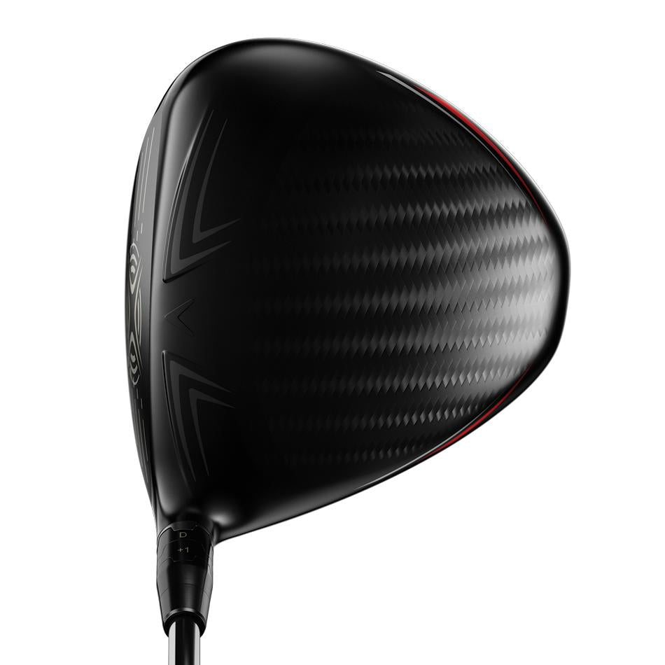 Big Bertha Fusion Heavy Driver