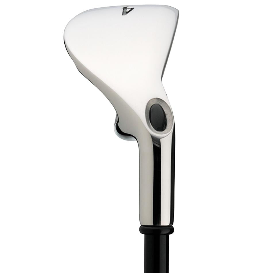 Big Bertha Irons (2008)